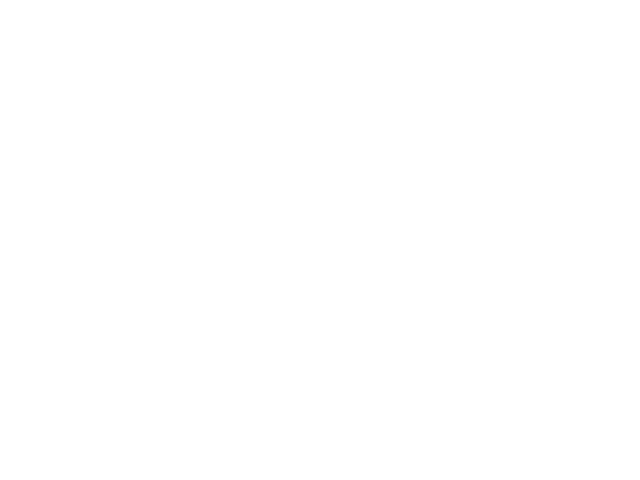 SEBRAE